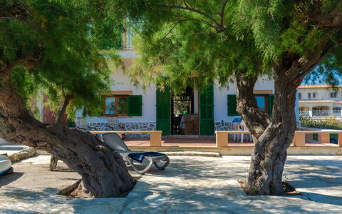 Sa Marina: Plant, Building, Window, Tree, Shade, House, Trunk, Road Surface, Wood, Urban Design