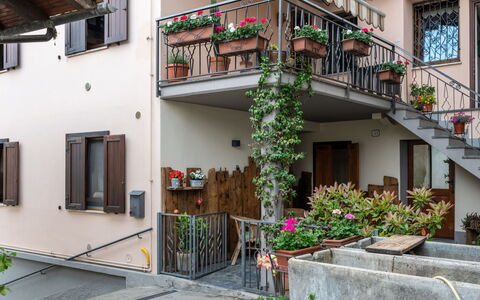Cima: Plant, Building, Window, Flowerpot, Houseplant, Door, Urban Design, Wall, Residential Area, Real Estate