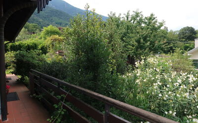 Sulle Colline Casalesi
