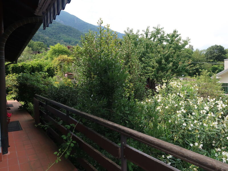 Sulle Colline Casalesi