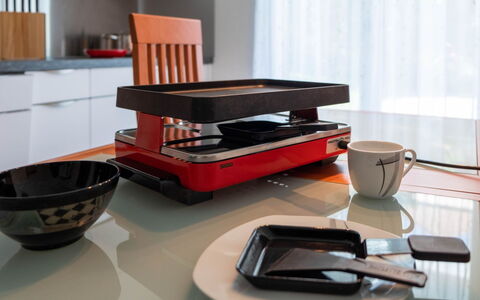 Hauswurz: Kitchen Appliance, Serveware, Food, Dishware, Stove, Small Appliance, Plate, Home Appliance