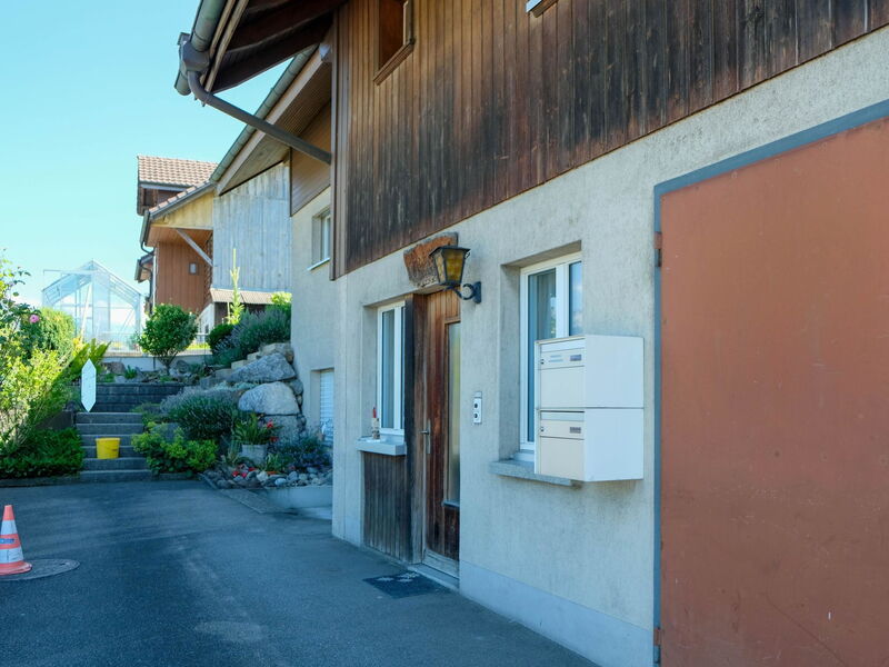 Hauswurz