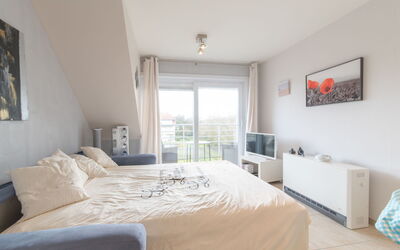 Accommodation:&nbsp;Bowie with Shared Pool 280.3