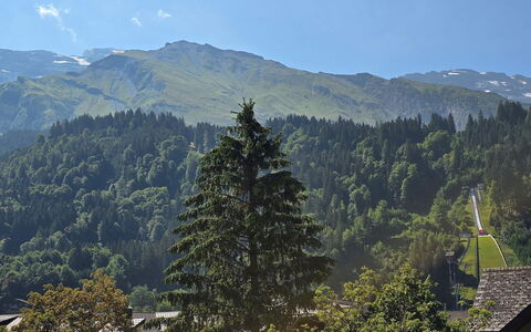 Titliszentrum 2: Mountain, Mountainous Landforms, Tree, Nature, Leaf, Hill, Vegetation, Mountain Range, Forest, Highland