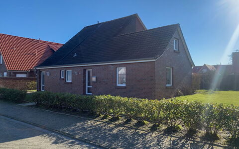 Norddeich 492: Plant, Sky, Window, Building, Land Lot, Asphalt, Grass, House, Road Surface