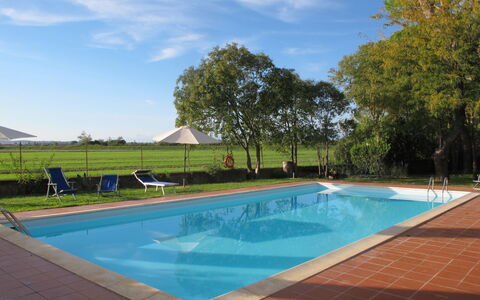 Fattoria di Scaletta: Sky, Water, Cloud, Beach, Umbrella, Outdoor Furniture, Shade, Coastal And Oceanic Landforms