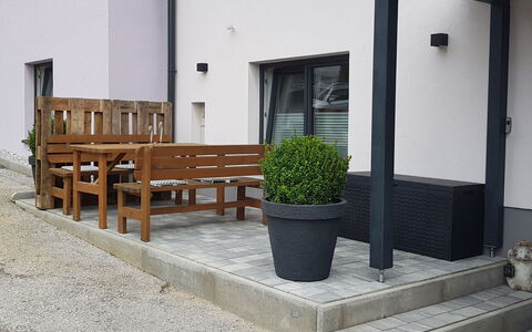 Stefanie: Plant, Property, Building, Flowerpot, Lighting, Houseplant, Architecture, Road Surface, Interior Design, Shade
