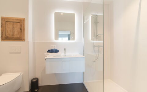 Villa Sas: Mirror, Plumbing Fixture, Tap, Sink, Bathroom, Wood, House, Building, Floor