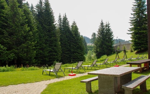 Panorama View 905: Nature, Tree, Natural Landscape, Grass, Mountain Range, Wilderness, Alps, Biome, Public Space, Table