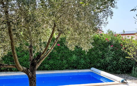 Villa Montes: Shade, Swimming Pool, Garden, Woody Plant, Backyard, Landscaping, Yard, Lawn