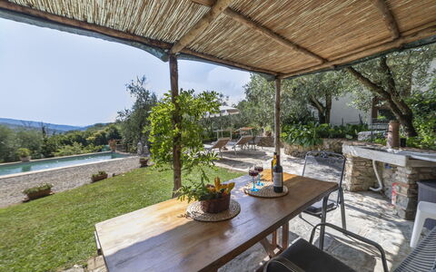 Olivo: Plant, Property, Table, Flowerpot, Shade, Houseplant, Outdoor Furniture, Interior Design, Chair, Cottage