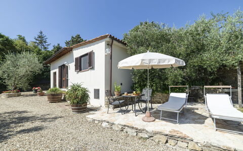 Olivo: Plant, Plant Community, Sky, Building, Window, Tree, Shade, Land Lot, House, Cottage