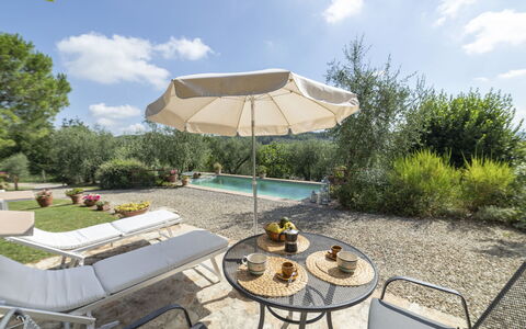 Olivo: Cloud, Plant, Sky, Property, Table, Flowerpot, Outdoor Furniture, Shade, Umbrella, Chair