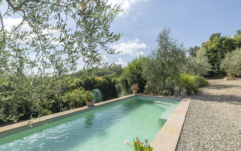 Olivo: Water, Plant, Sky, Cloud, Swimming Pool, Tree, Vegetation, Natural Landscape, Grass, Shade