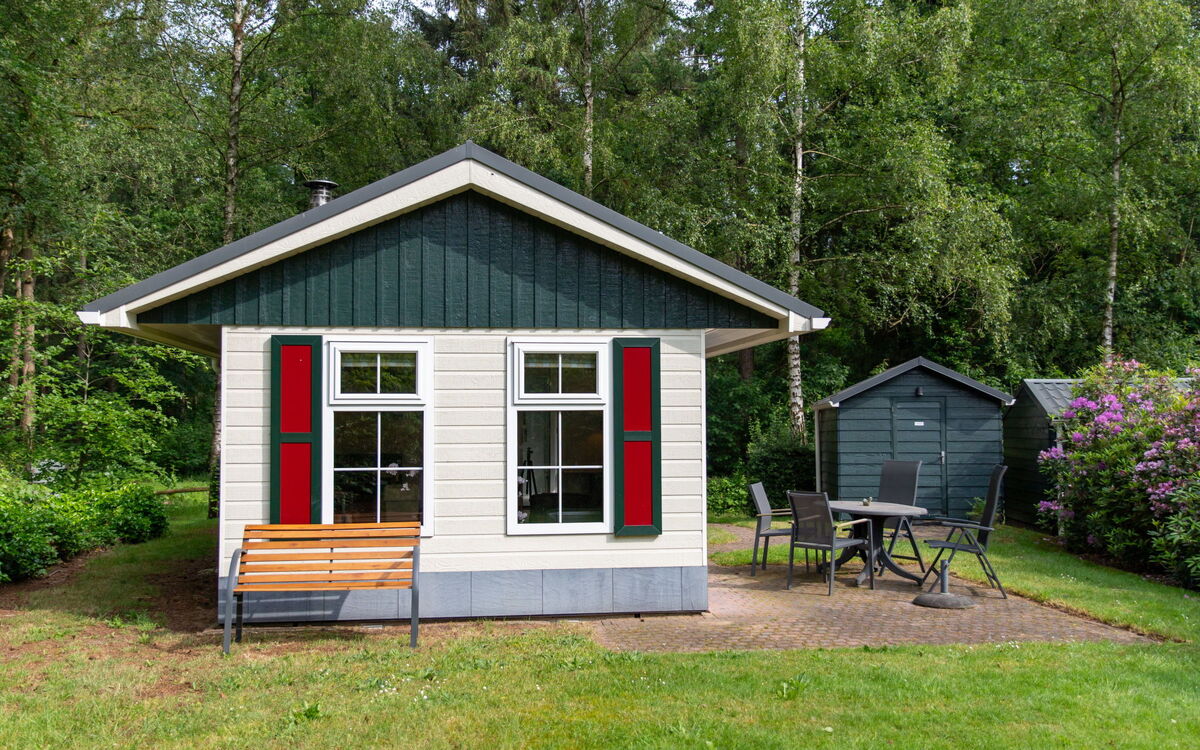 Dalfsen 100