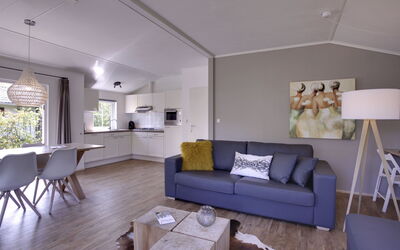 Accommodation:&nbsp;4-Persoons Bos 100.2