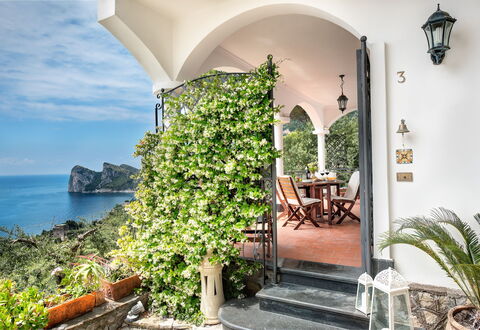 Medusa And The Seahorse Villa: Plant, Building, Water, Property, Table, Cloud, Flowerpot, Sky, Azure, Flower