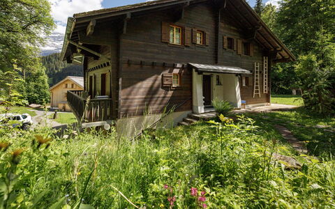 Les Diablerets 600: Building, House, Wood, Home, Cottage, Roof, Rural Area, Siding, Door, Log Cabin