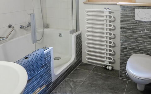 Les Diablerets 600: Property, Plumbing Fixture, Floor, Flooring, Toilet, Bathroom, Plumbing, Tap, Gas