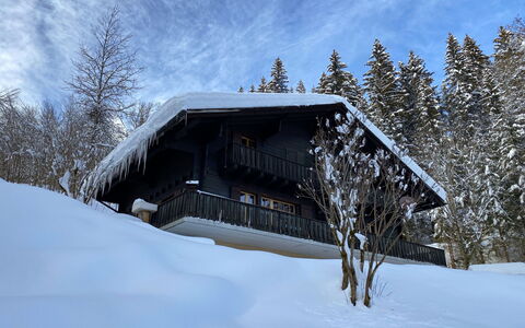 Les Diablerets 600: Sky, Building, Snow, Cloud, Tree, Plant, House, Slope, Wood, Cottage