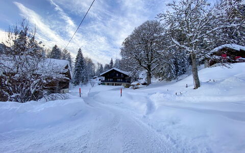 Les Diablerets 600: Cloud, Sky, Snow, Window, Building, Slope, Plant, Tree, Terrain, House