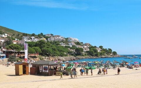 Higea: Sky, Water, Cloud, Beach, Coastal And Oceanic Landforms, Tree, Leisure, Horizon