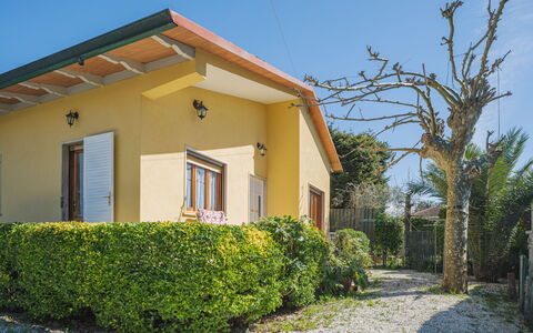 Mauro: Plant, Sky, Property, Building, Window, Land Lot, Architecture, Shade, Tree, Wall