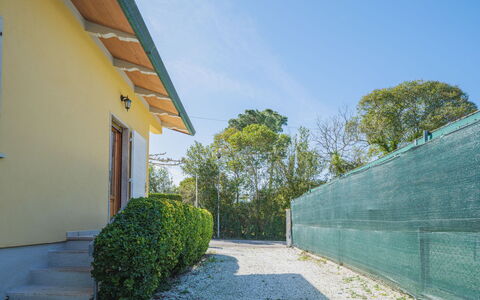 Mauro: Plant, Sky, Daytime, Property, Building, Leaf, Road Surface, Window, Land Lot, Asphalt