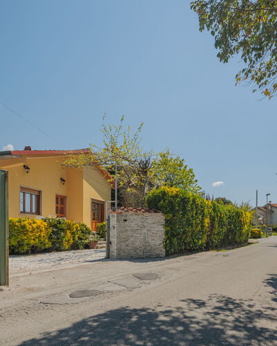 Mauro