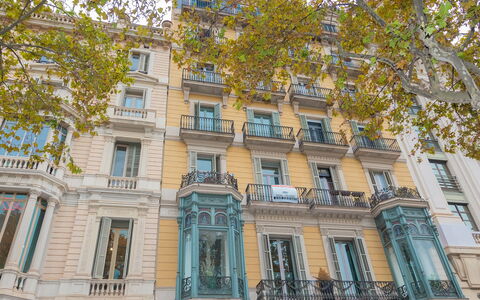 Centro: Passeig de Gracia - Casa Batllo: Building, Window, Property, Tree, Urban Design, Wall, Condominium, Facade, City, Symmetry