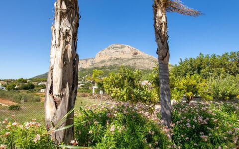 Villa Finca Labranza: Vegetation, Tree, Wilderness, Natural Environment, Nature Reserve, Plant Community, Plant, Biome, Rock, Botany