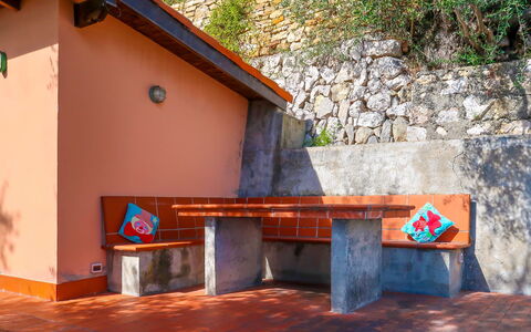 Paradise View: Property, Room, Wall, House, Furniture, Table, Wood, Tree, Building, Architecture