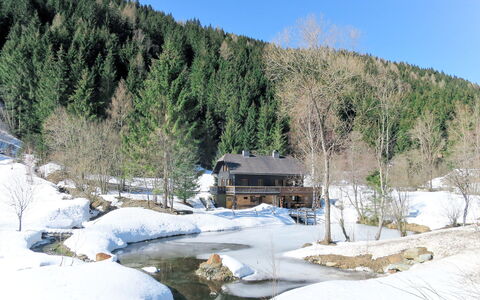 Fischerhütte: Winter, Snow, Tree, Geological Phenomenon, Freezing, Plant, Landscape, Mountain, Ice, State Park