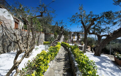 Villa Nerano: Property, Tree, Real Estate, Botany, Plant, Spring, House, Tourism, Landscape, Mountain