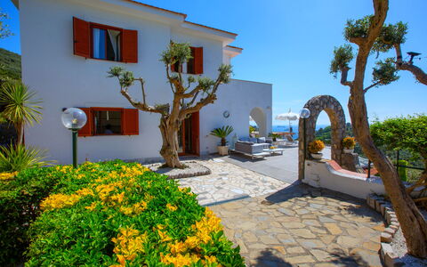 Villa Nerano: Flowerpot, Hacienda, Landscaping, Estate, Garden, Houseplant, Villa, Yard
