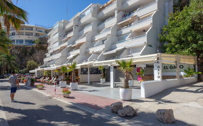 Torremolinos 551: Plant, Water, Property, Furniture, Building, Table, Window, Azure, Chair, Interior Design