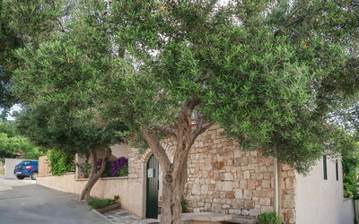 Brač Supetar 620