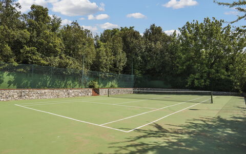 Crespina Lorenzana 100: Cloud, Sky, Tennis, Plant, Sports Equipment, Tree, Tennis Court, Grass, Racquet Sport