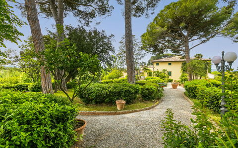 Crespina Lorenzana 100: Plant, Sky, Building, Green, Street Light, Natural Landscape, Tree, Road Surface, Land Lot, House