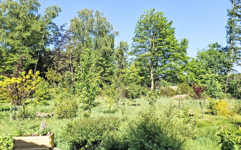Trollstua: Green, Tree, Natural Environment, Leaf, Vegetation, Shrub, Plant Community, Land Lot, Groundcover
