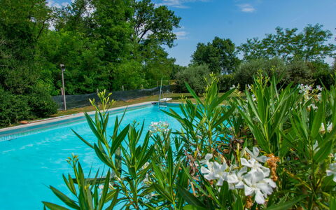 Elena: Blue, Shrub, Garden, Swimming Pool, Shade, Landscaping, Botanical Garden, Backyard, Eco Hotel