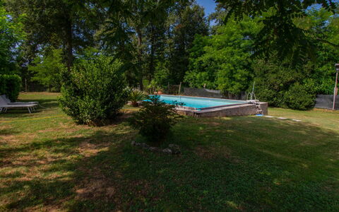 Elena: Tree, Swimming Pool, Garden, Shade, Lawn, Leisure, Backyard, Landscaping, Yard, Park