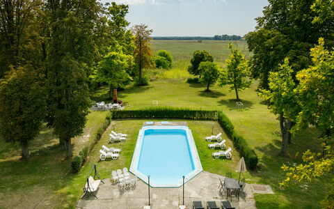 Zichy: Plant, Cloud, Sky, Water, Swimming Pool, Nature, Botany, Tree, Vegetation, Land Lot