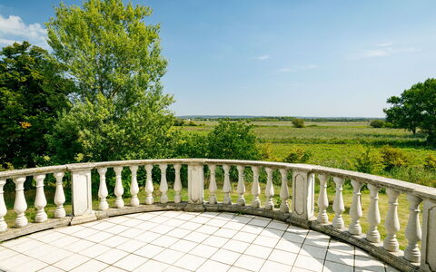 Zichy: Cloud, Sky, Plant, Tree, Fence, Natural Landscape, Land Lot, Vegetation, Wood, Grass