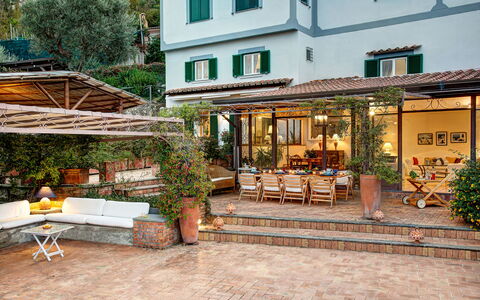 Country Lemonvilla: Plant, Furniture, Window, Property, Building, Flowerpot, Road Surface, Outdoor Furniture, Houseplant, Outdoor Table