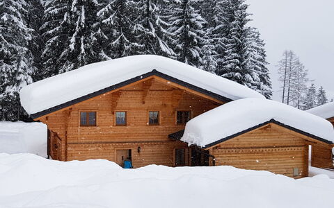 Dörfli: Snow, Building, Window, Tree, House, Branch, Wood, Slope, Door, Larch