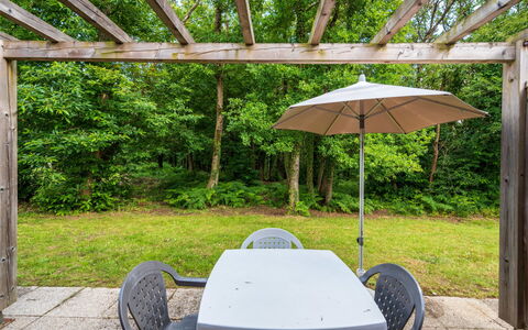 Saumur 649: Plant, Furniture, Property, Table, Plant Community, Umbrella, Shade, Chair, Botany, Tree