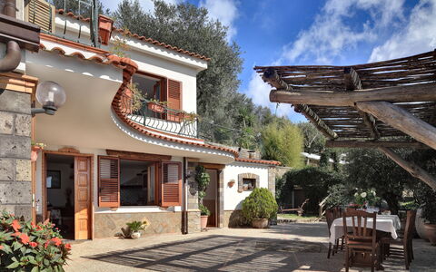 La Villa Dell'olio: Plant, Cloud, Property, Sky, Window, Building, Flowerpot, Wood, Door