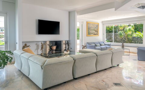 Villa Antonietta: Plant, Property, Couch, Houseplant, Window, Comfort, Interior Design, Flooring, Living Room, Floor