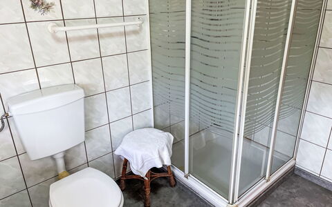 Brigitte: Plumbing Fixture, Floor, Bathroom, Flooring, Plumbing, Toilet, Toilet Seat, Shower Door, Tile, Shower